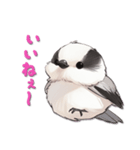 毎日使える鳥スタンプ - エナガ（個別スタンプ：23）