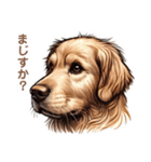 ゴールデンレトリバーの変なやつ（個別スタンプ：5）