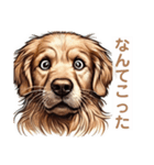 ゴールデンレトリバーの変なやつ（個別スタンプ：7）