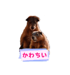 メモリー・オブ・アース（個別スタンプ：10）
