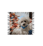 愛犬cocoちゃま（個別スタンプ：4）