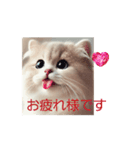 Charming feline（個別スタンプ：4）