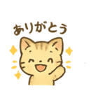 ふんわりネコちゃん（個別スタンプ：2）