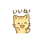ふんわりネコちゃん（個別スタンプ：5）