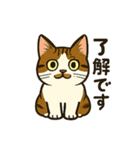 江原さんちのちゃちゃまるくん（個別スタンプ：3）