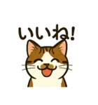 江原さんちのちゃちゃまるくん（個別スタンプ：4）