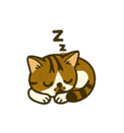 江原さんちのちゃちゃまるくん（個別スタンプ：7）