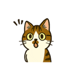 江原さんちのちゃちゃまるくん（個別スタンプ：11）