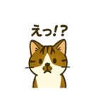 江原さんちのちゃちゃまるくん（個別スタンプ：13）