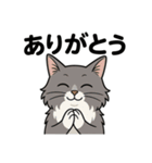 ねこすんさんのスタンプ（個別スタンプ：2）