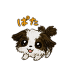ふわふわっとあにまる（個別スタンプ：11）