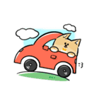 日常で使える柴犬スタンプ①（個別スタンプ：9）