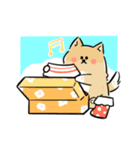 日常で使える柴犬スタンプ①（個別スタンプ：10）