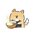 日常で使える柴犬スタンプ①（個別スタンプ：13）