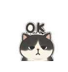 ゆるツンな猫ちゃん（個別スタンプ：1）