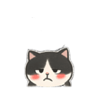 ゆるツンな猫ちゃん（個別スタンプ：6）