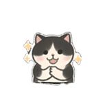 ゆるツンな猫ちゃん（個別スタンプ：13）