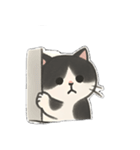 ゆるツンな猫ちゃん（個別スタンプ：15）