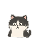 ゆるツンな猫ちゃん（個別スタンプ：16）