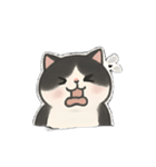 ゆるツンな猫ちゃん（個別スタンプ：19）