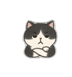 ゆるツンな猫ちゃん（個別スタンプ：21）