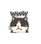 ゆるツンな猫ちゃん（個別スタンプ：23）