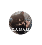 ミュウルナの動くスタンプ（個別スタンプ：4）