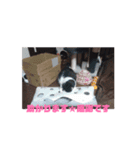 ミュウルナの動くスタンプ（個別スタンプ：14）