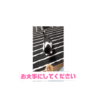 ミュウルナの動くスタンプ（個別スタンプ：15）