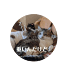 ドタバタな日々（個別スタンプ：7）