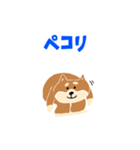 柴犬のスタンプ〜！（個別スタンプ：4）