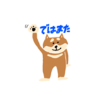 柴犬のスタンプ〜！（個別スタンプ：5）
