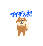 柴犬のスタンプ〜！（個別スタンプ：6）