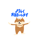柴犬のスタンプ〜！（個別スタンプ：8）