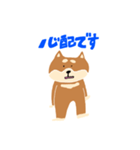 柴犬のスタンプ〜！（個別スタンプ：14）