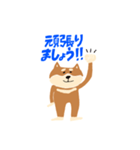 柴犬のスタンプ〜！（個別スタンプ：16）
