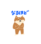 柴犬のスタンプ〜！（個別スタンプ：17）