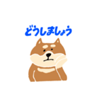 柴犬のスタンプ〜！（個別スタンプ：19）