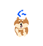 柴犬のスタンプ〜！（個別スタンプ：20）