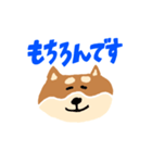 柴犬のスタンプ〜！（個別スタンプ：27）