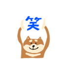 柴犬のスタンプ〜！（個別スタンプ：29）