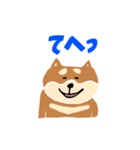 柴犬のスタンプ〜！（個別スタンプ：30）