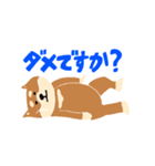 柴犬のスタンプ〜！（個別スタンプ：31）