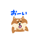柴犬のスタンプ〜！（個別スタンプ：34）