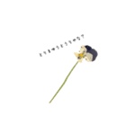 Flower＆AORI（個別スタンプ：4）