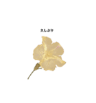 Flower＆AORI（個別スタンプ：13）