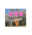 動くしば（個別スタンプ：7）
