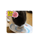 動くこま（個別スタンプ：7）