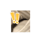 動くこま（個別スタンプ：9）