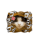 動くこま（個別スタンプ：16）